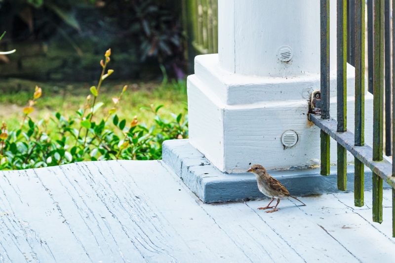 Increase Your Porch Columns Installation Business with an AI Driven, Targeted Website